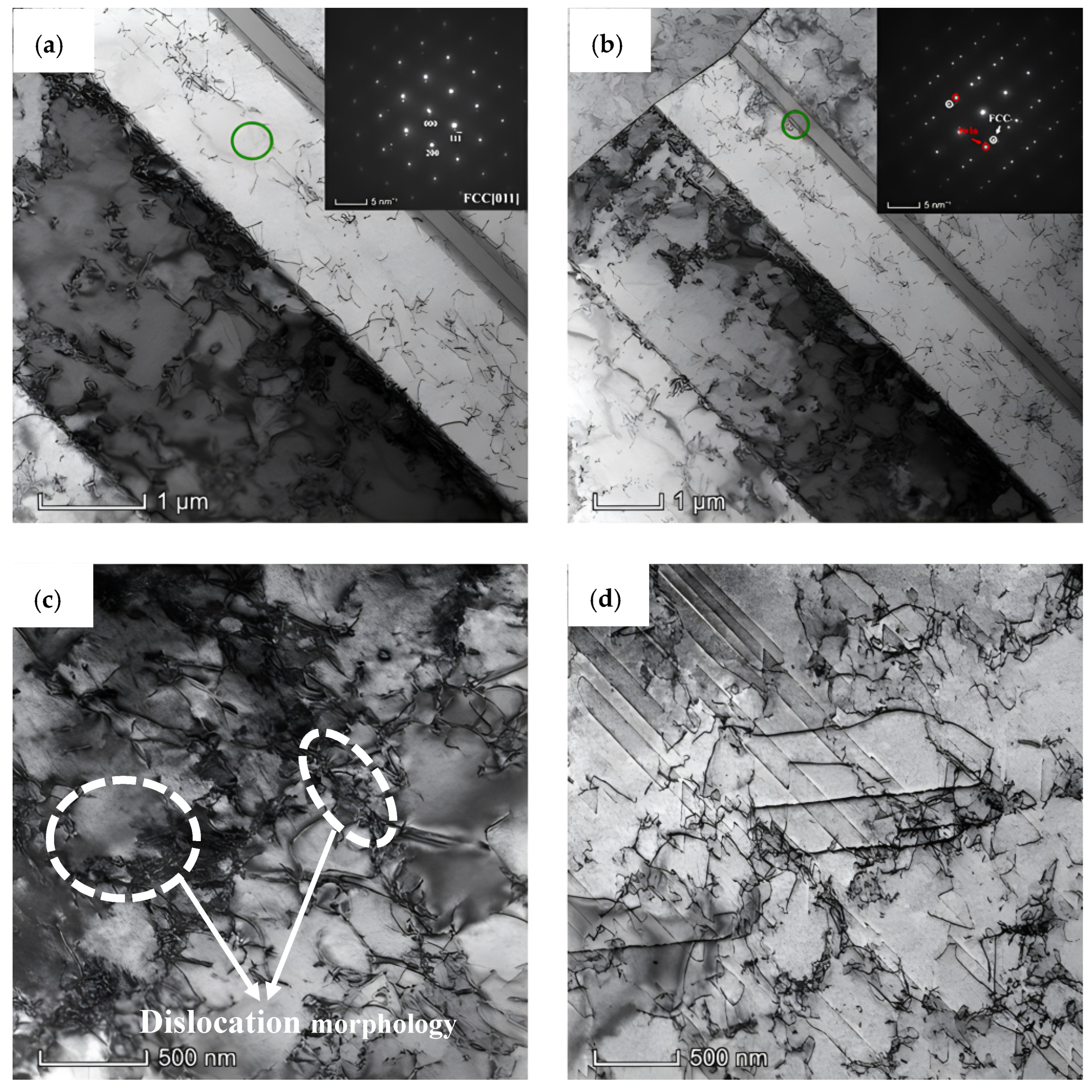 Materials 17 00676 g006