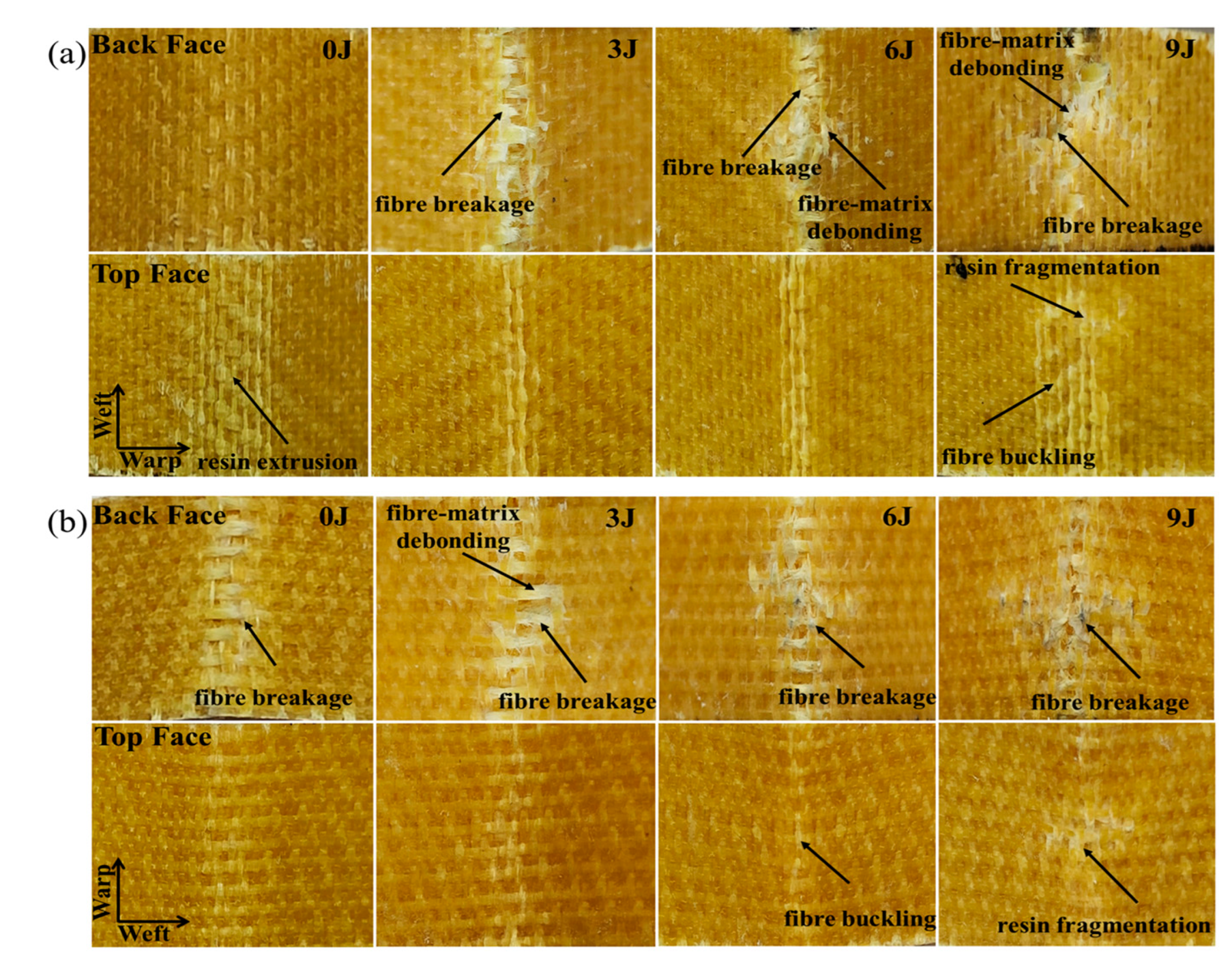 Materials 17 00681 g014a