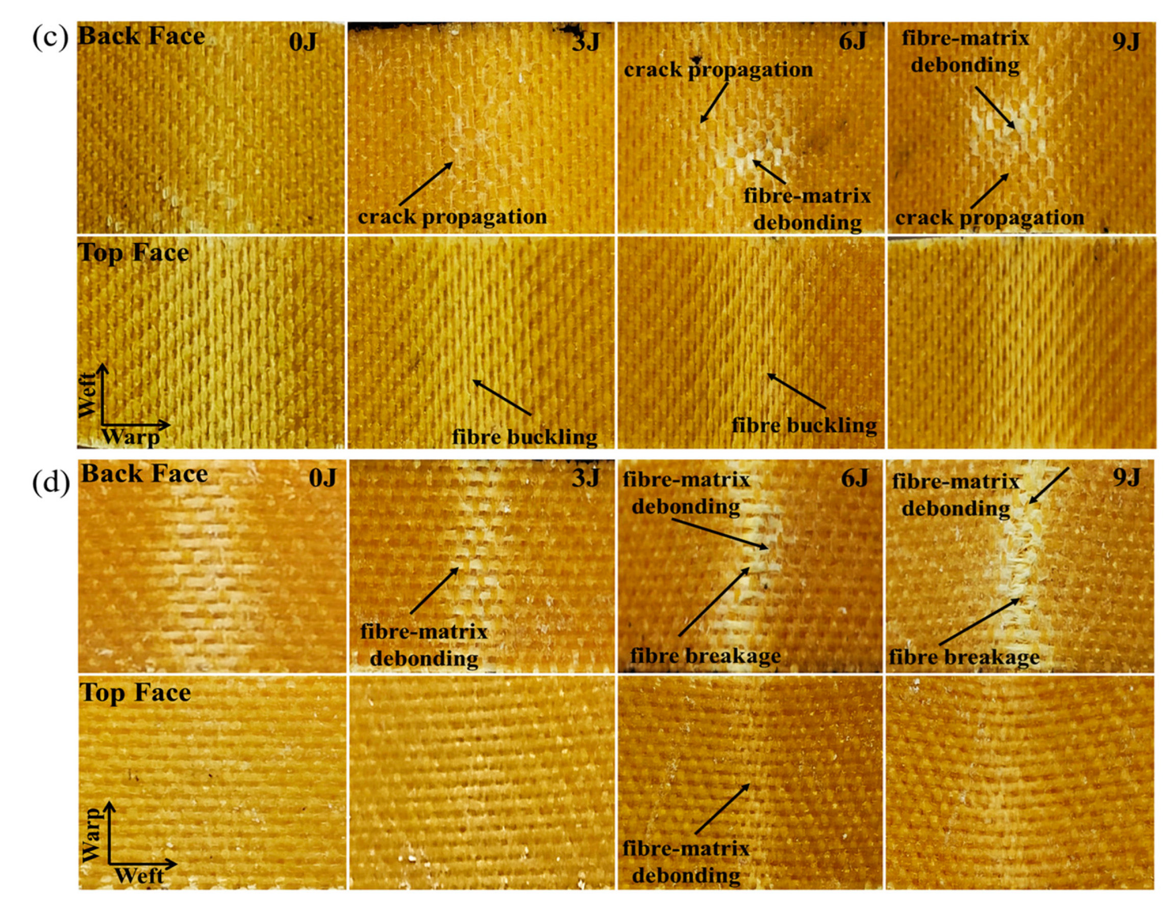 Materials 17 00681 g014b