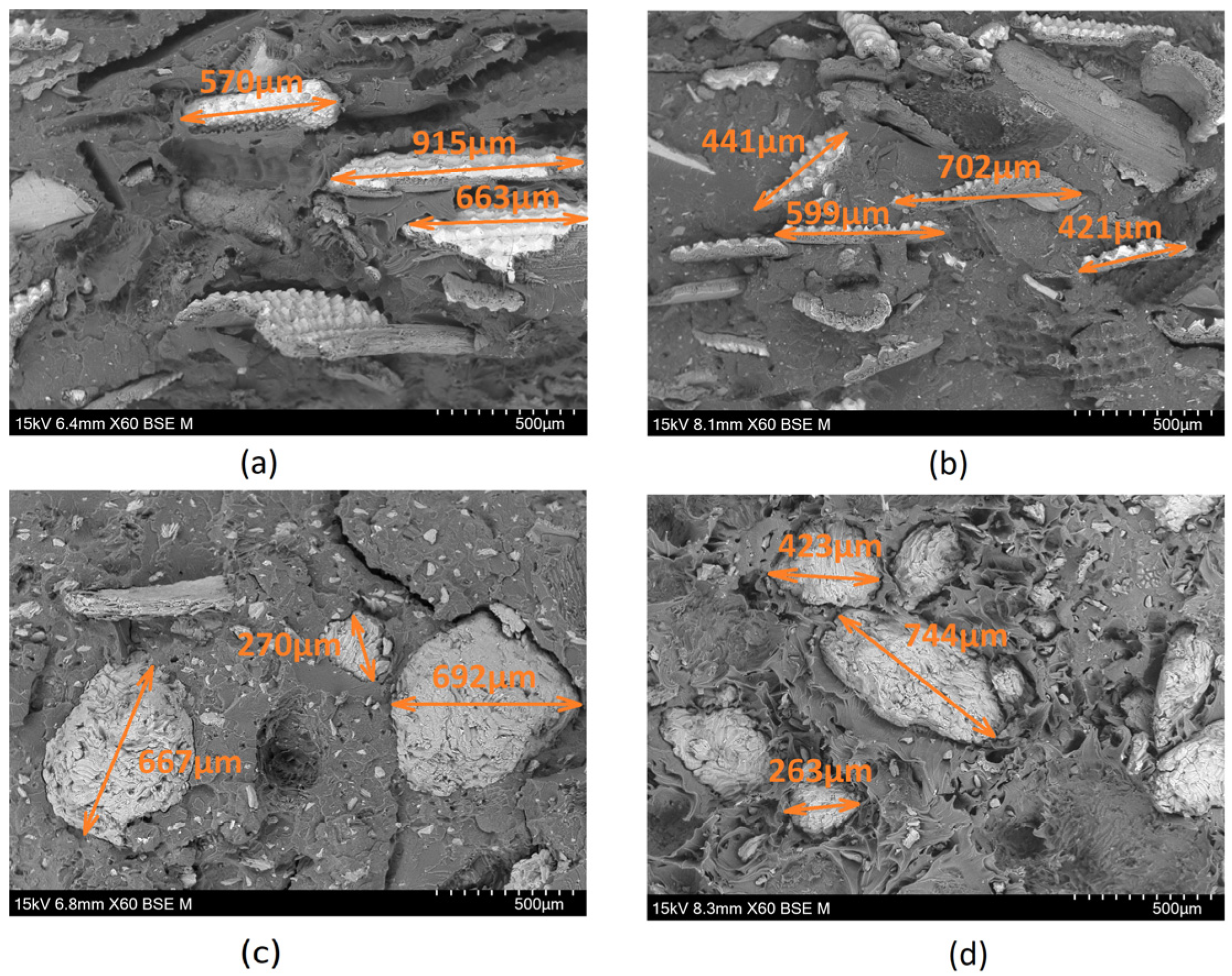 Materials 17 00696 g001