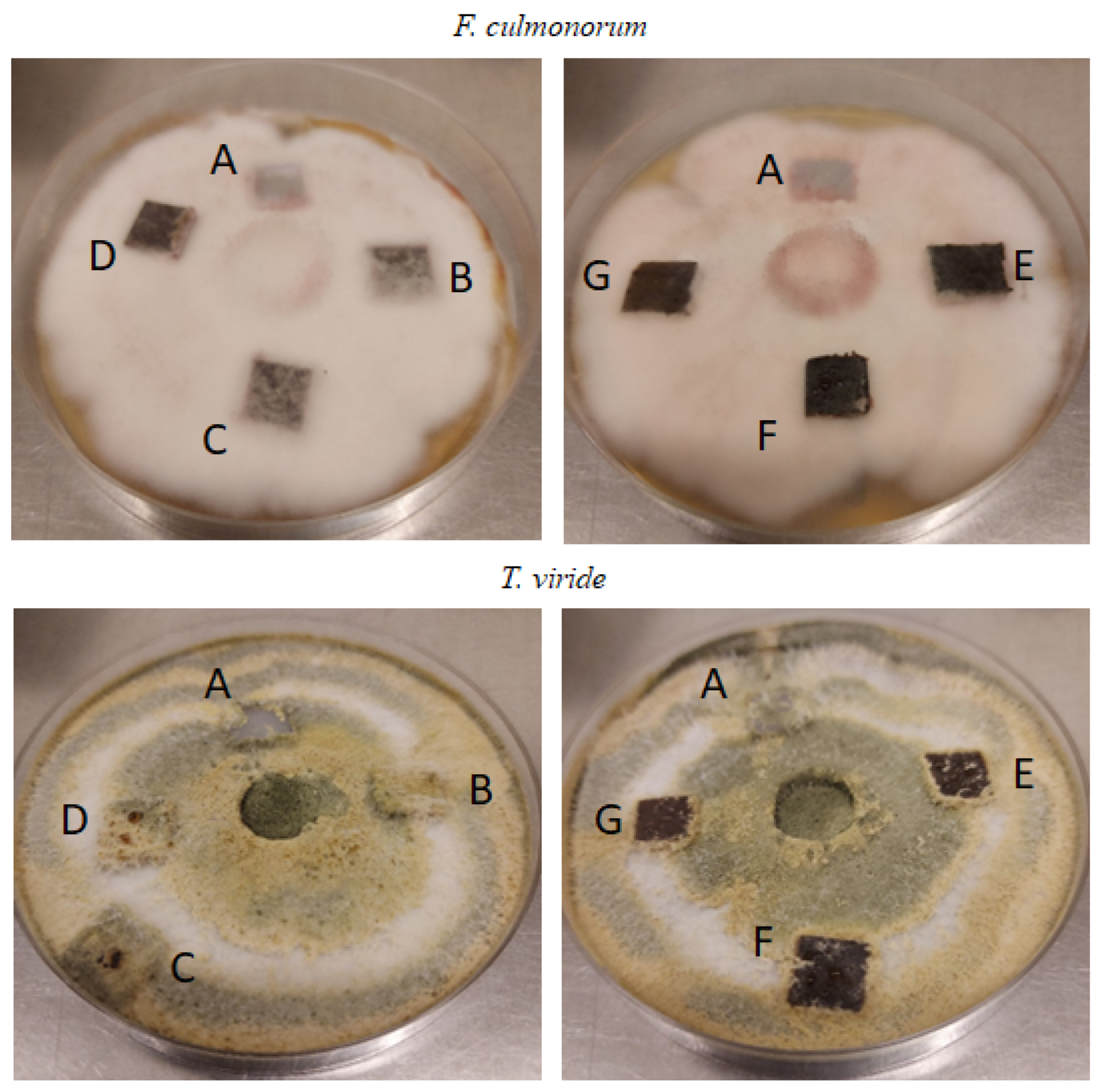 Materials 17 00698 g009
