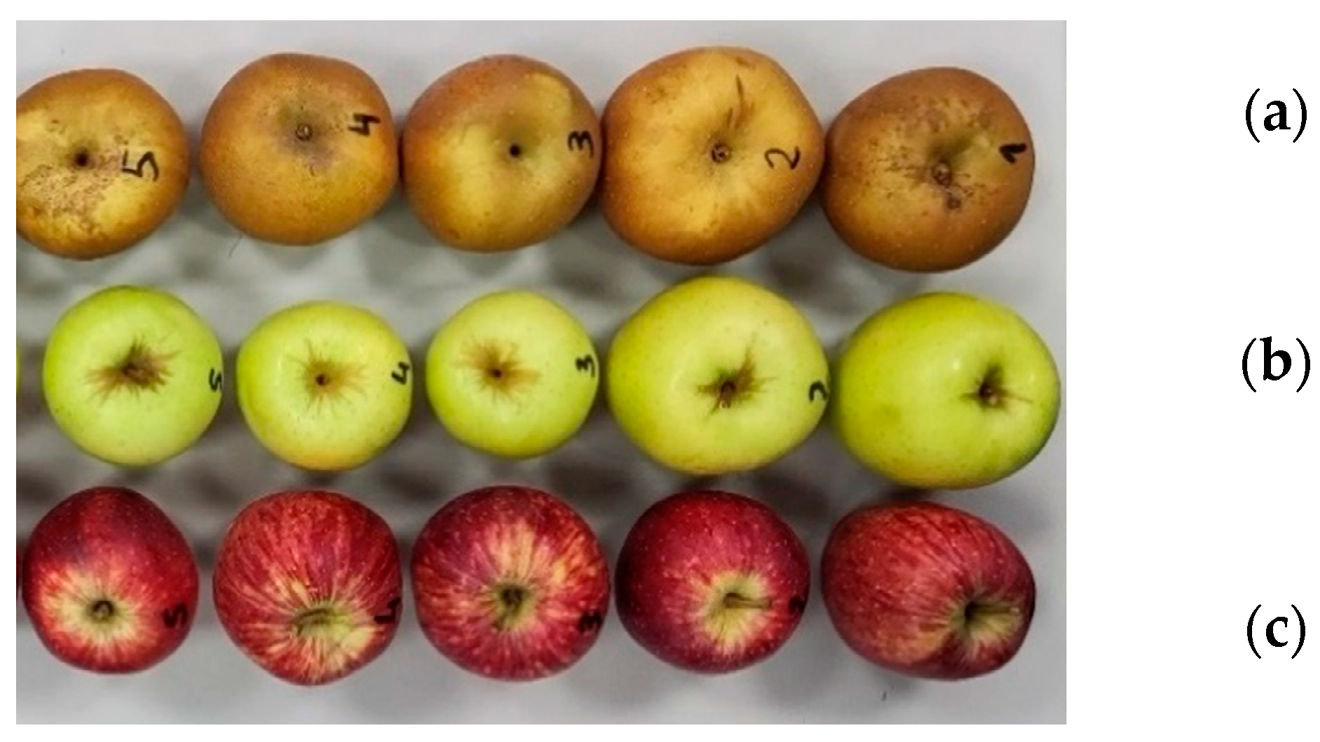 Materials 17 00700 g001