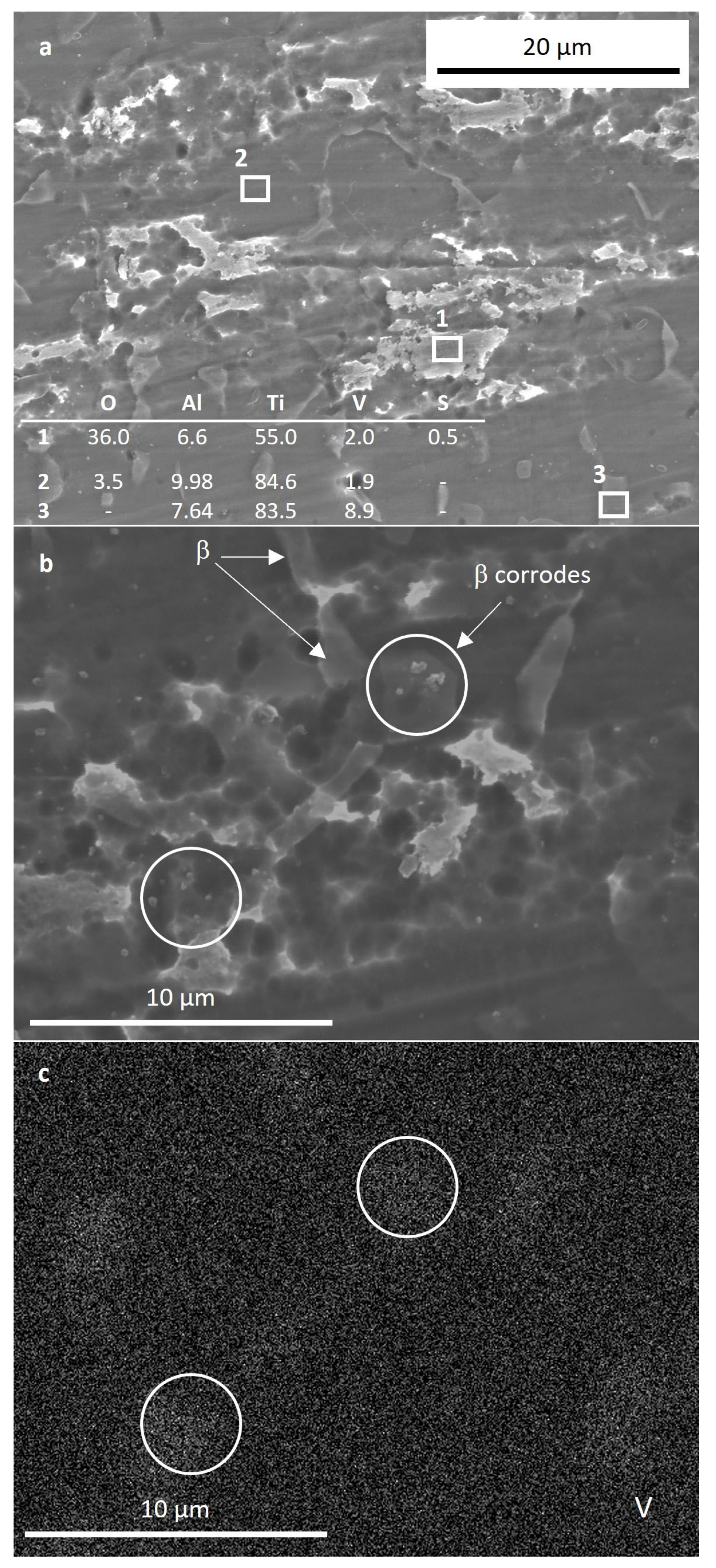 Materials 17 00712 g009