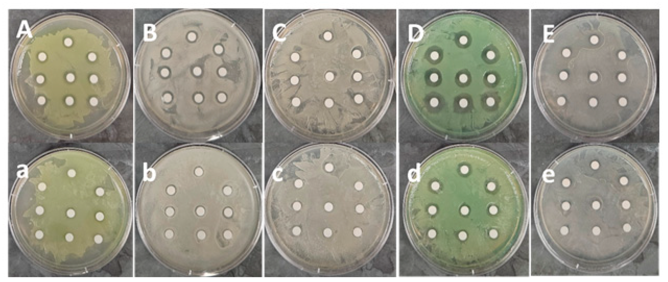 Materials 17 00713 g0a6