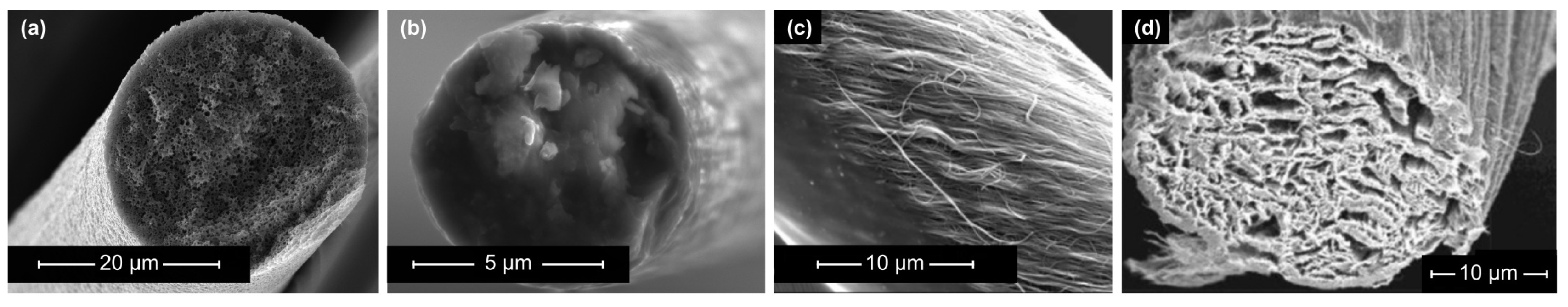 Materials 17 00739 g003