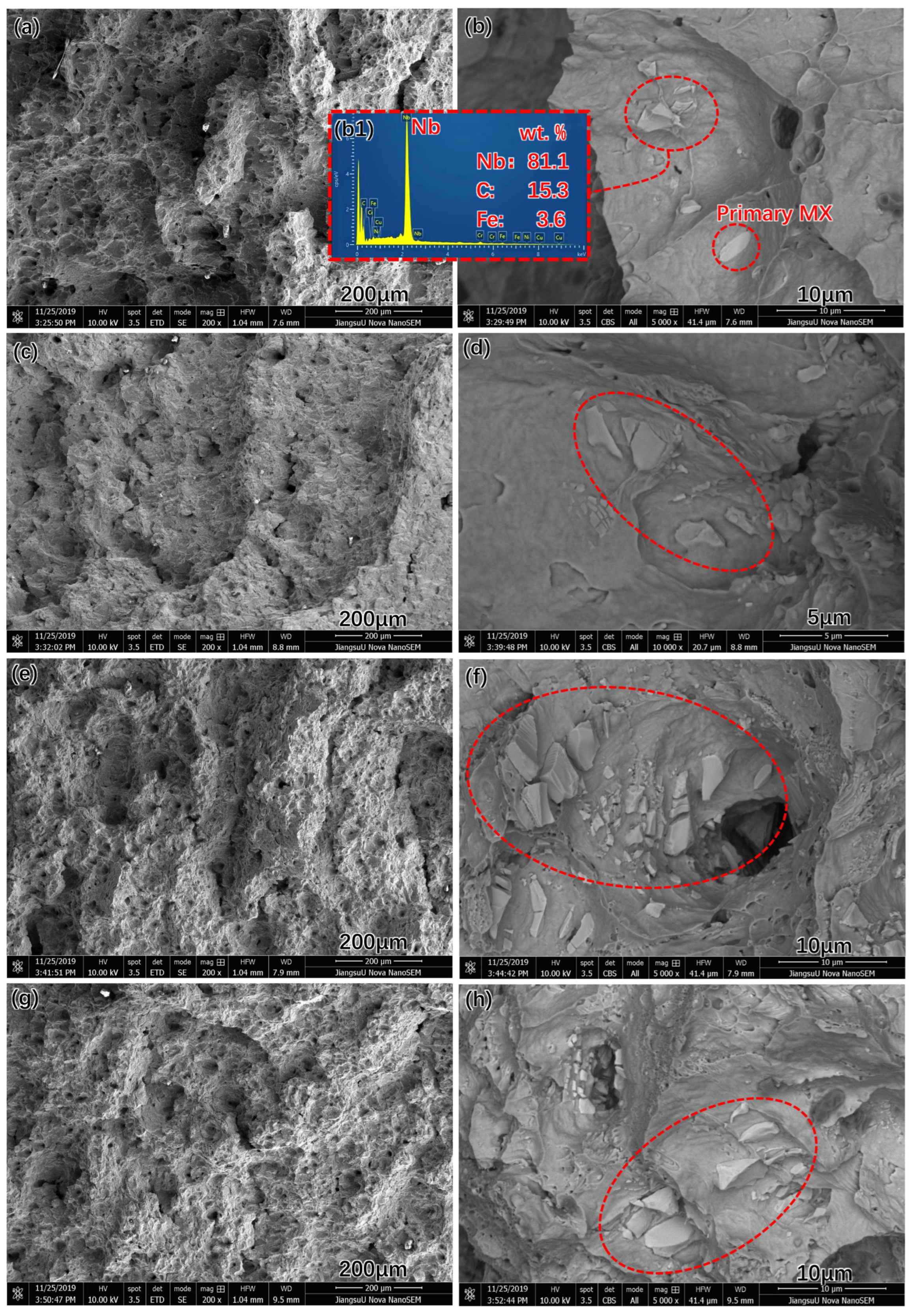 Materials 17 00740 g006