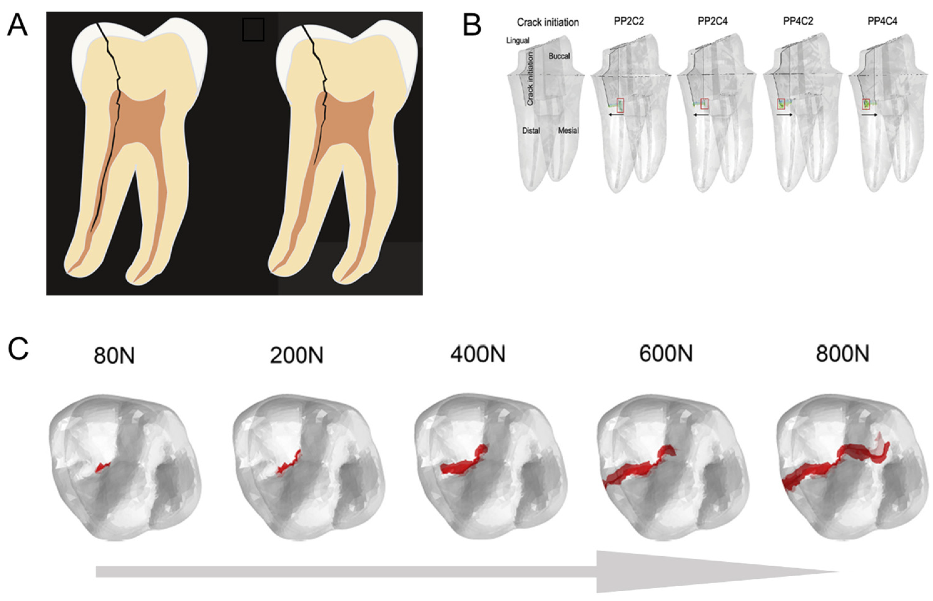 Materials 17 00745 g008