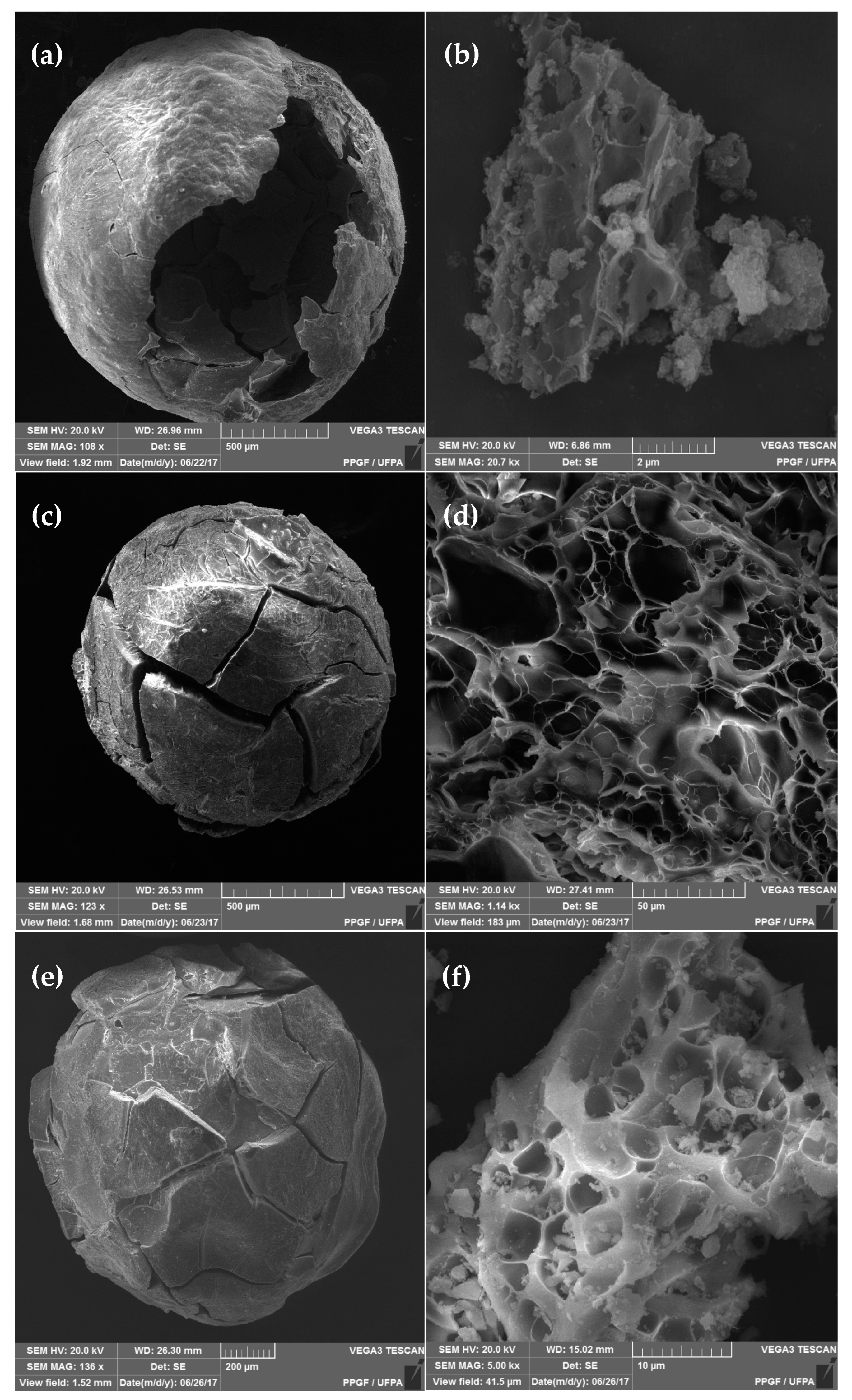 Materials 17 00759 g003