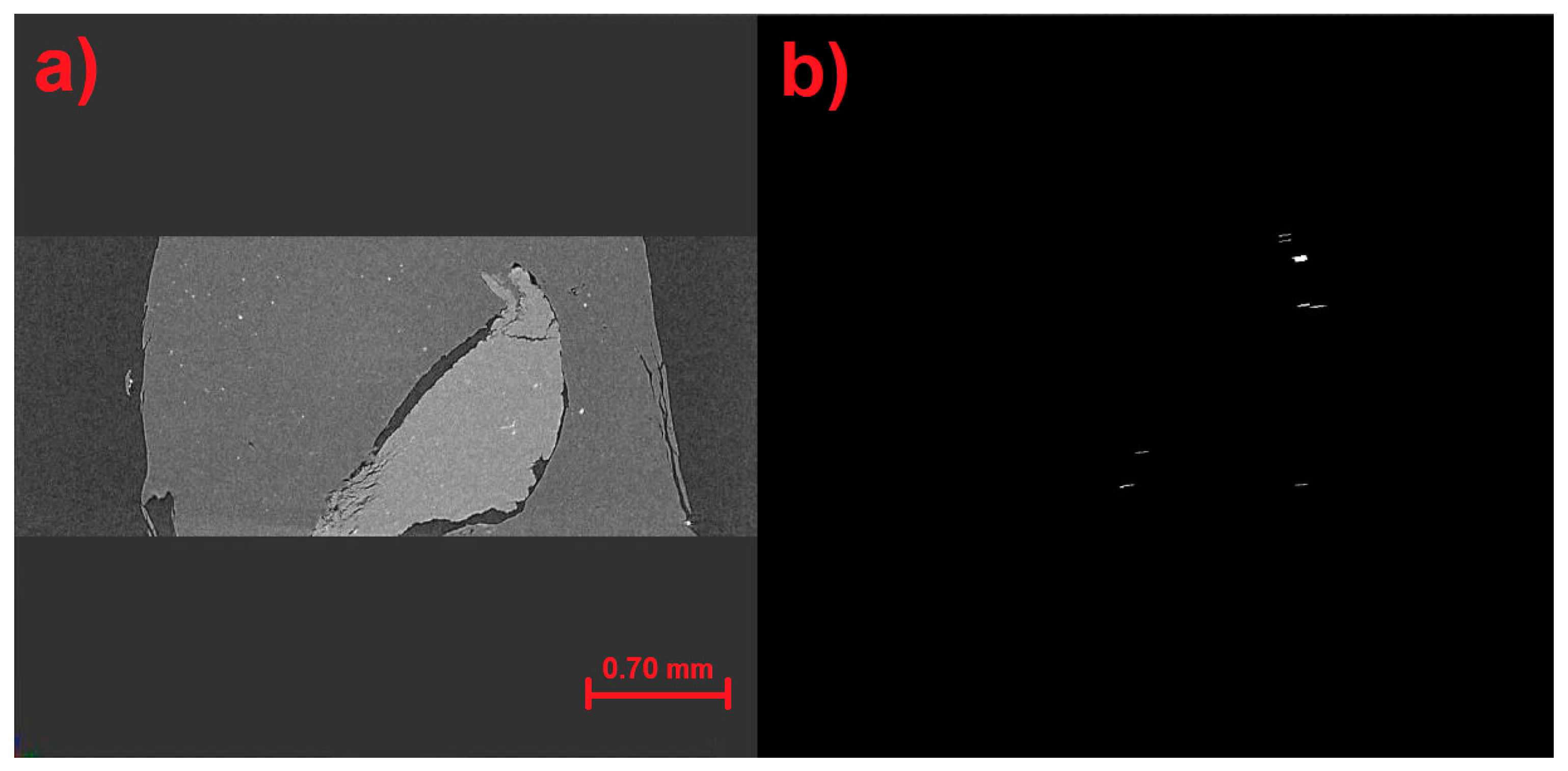 Application of Microfracture Analysis to Fatigue Fractures in Materials