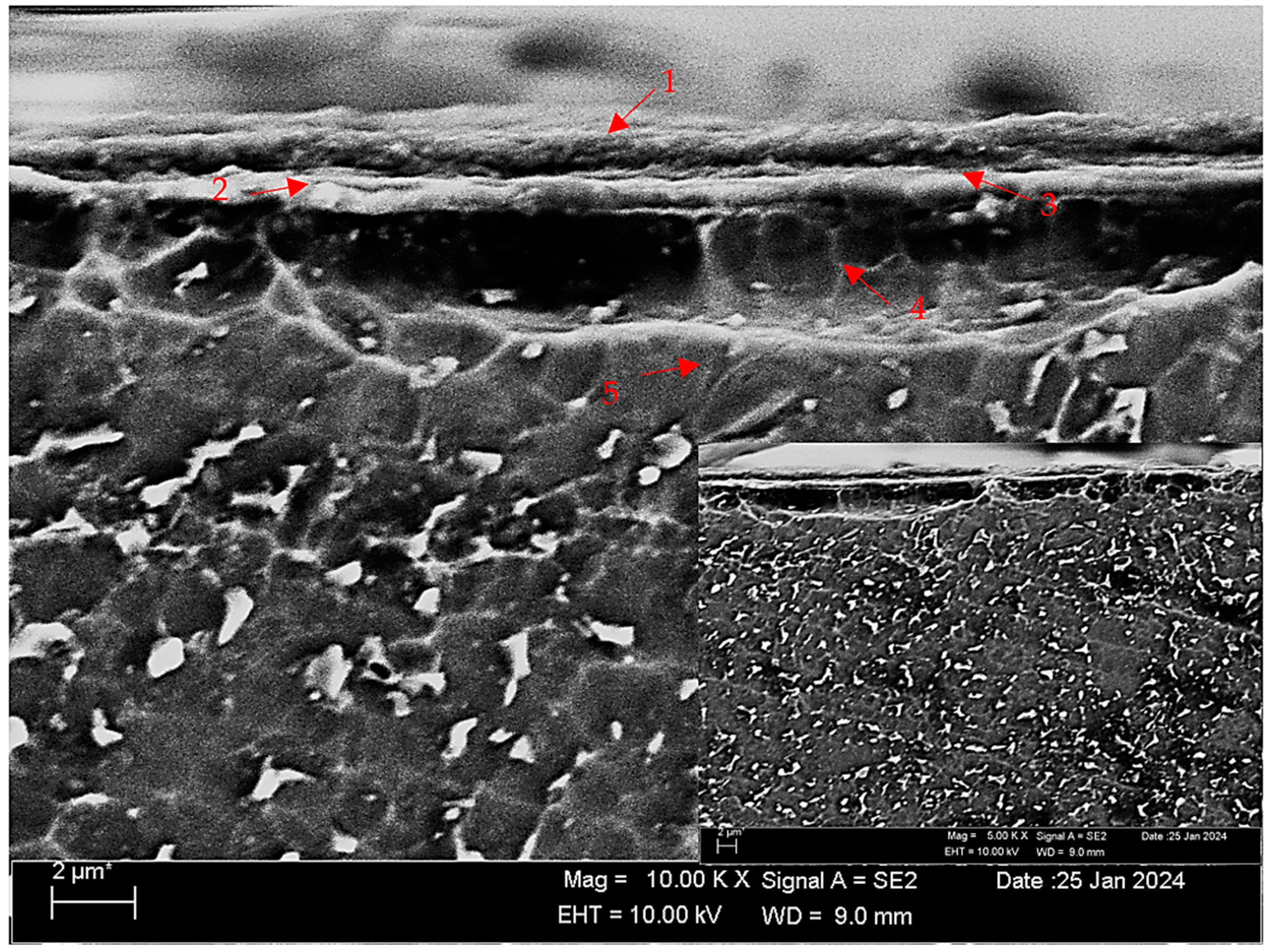 Materials 17 00776 g005