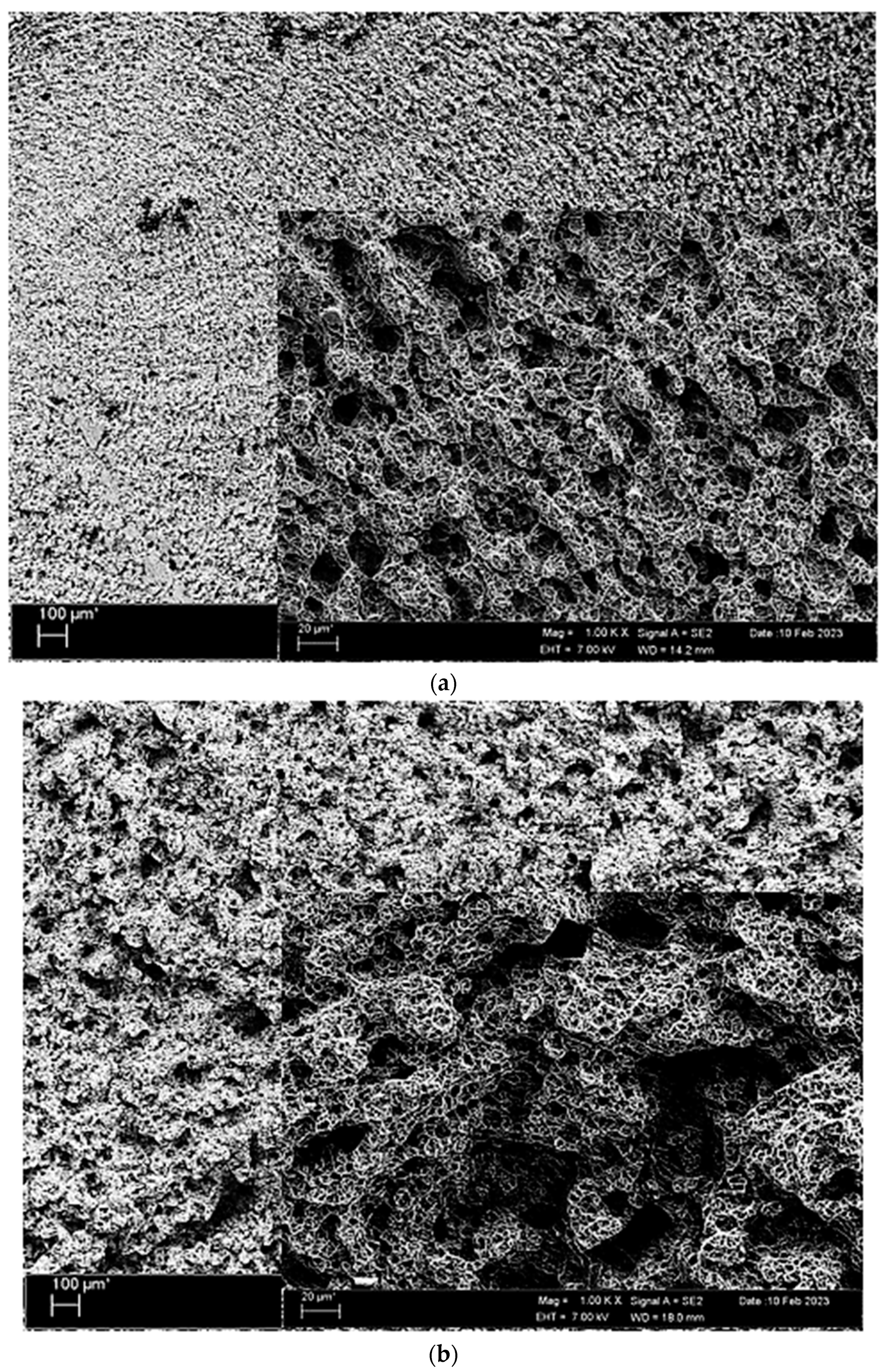 Materials 17 00776 g007