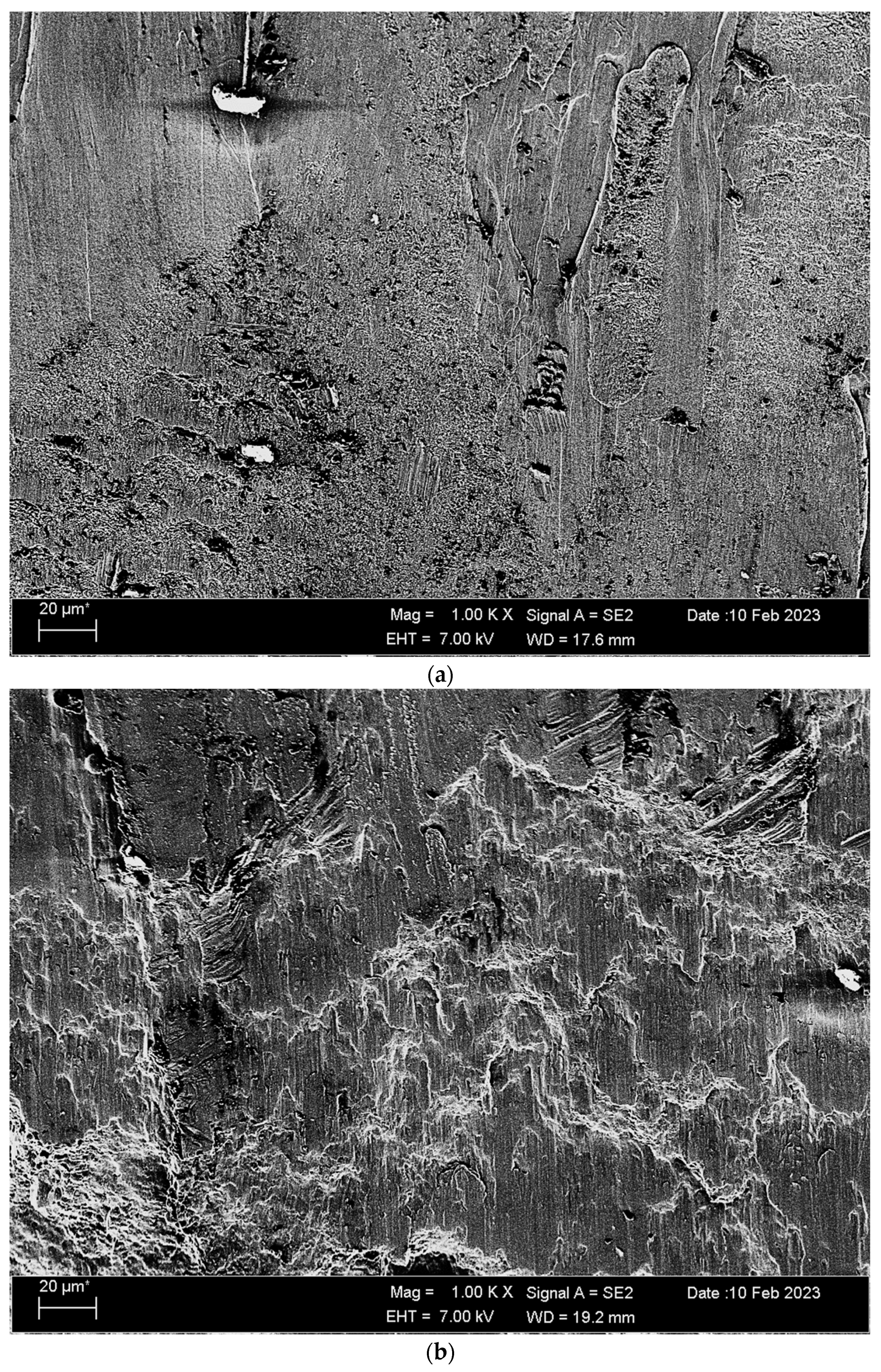 Materials 17 00776 g008