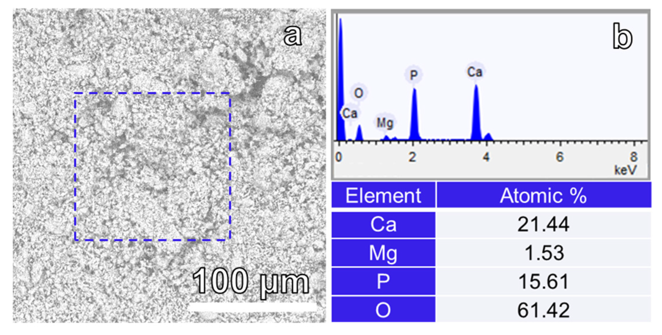 Materials 17 00788 g007