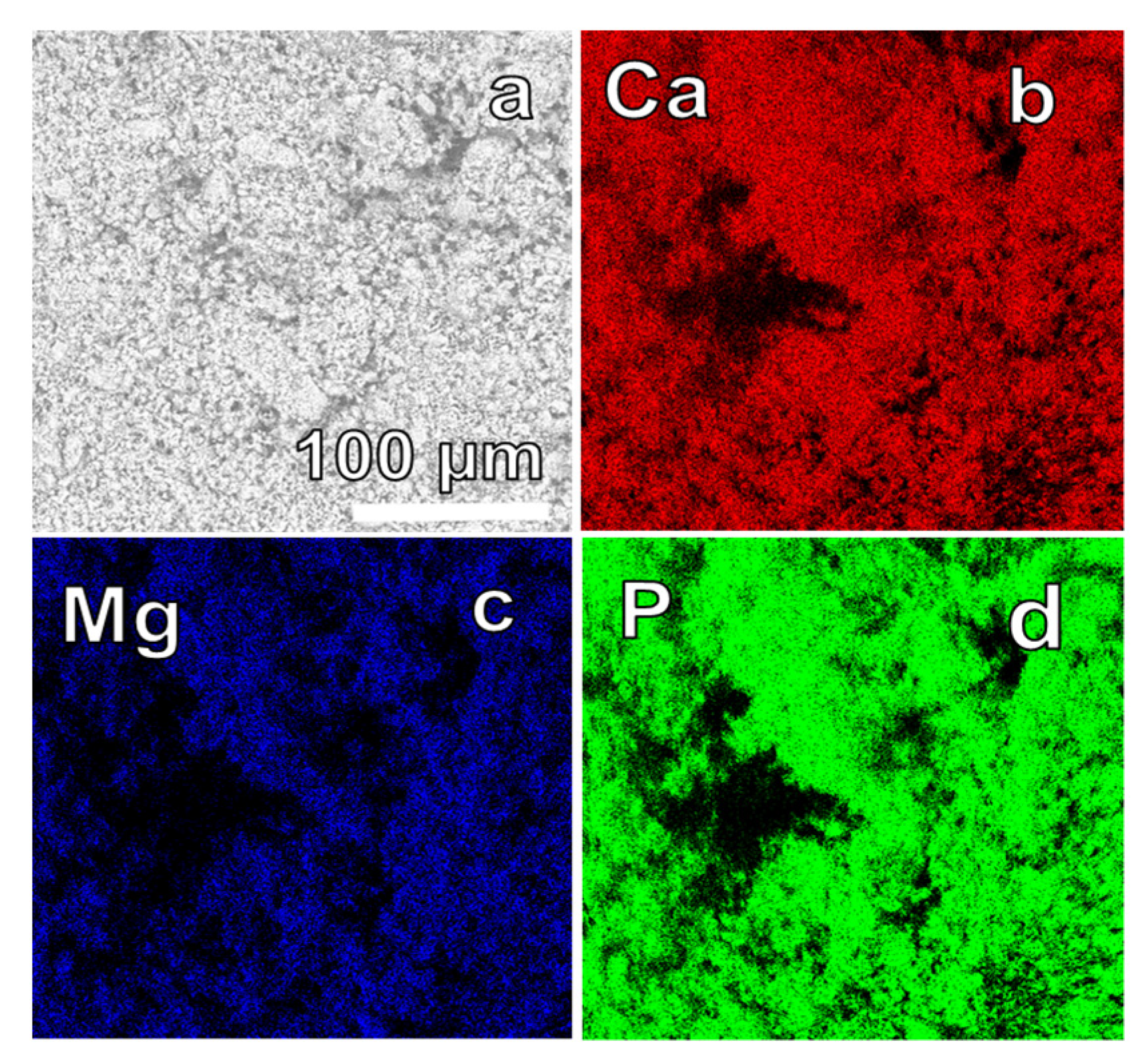 Materials 17 00788 g008