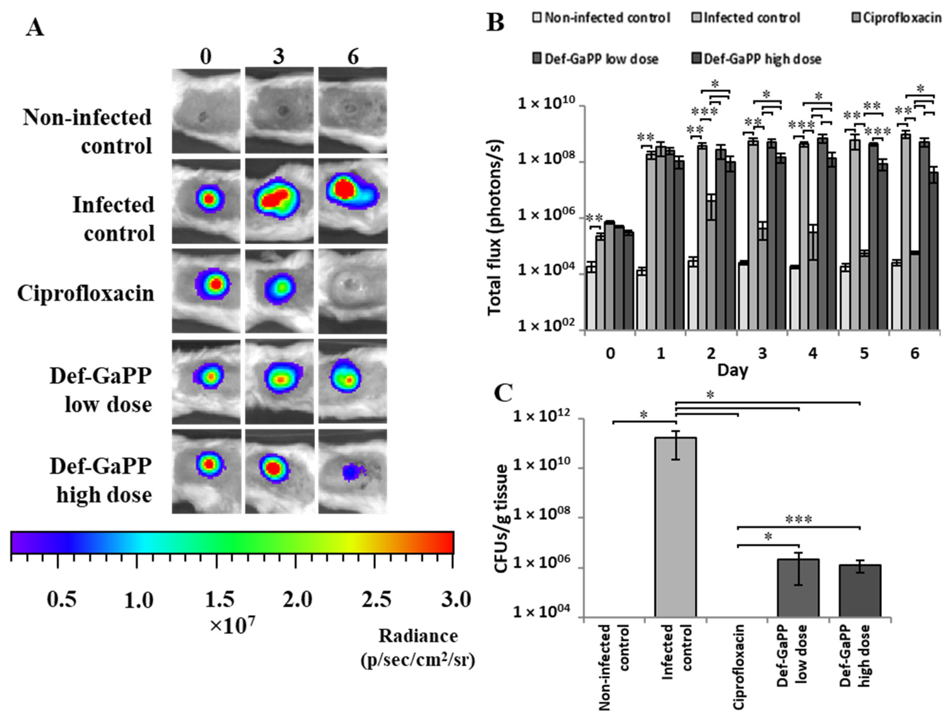 Materials 17 00793 g004