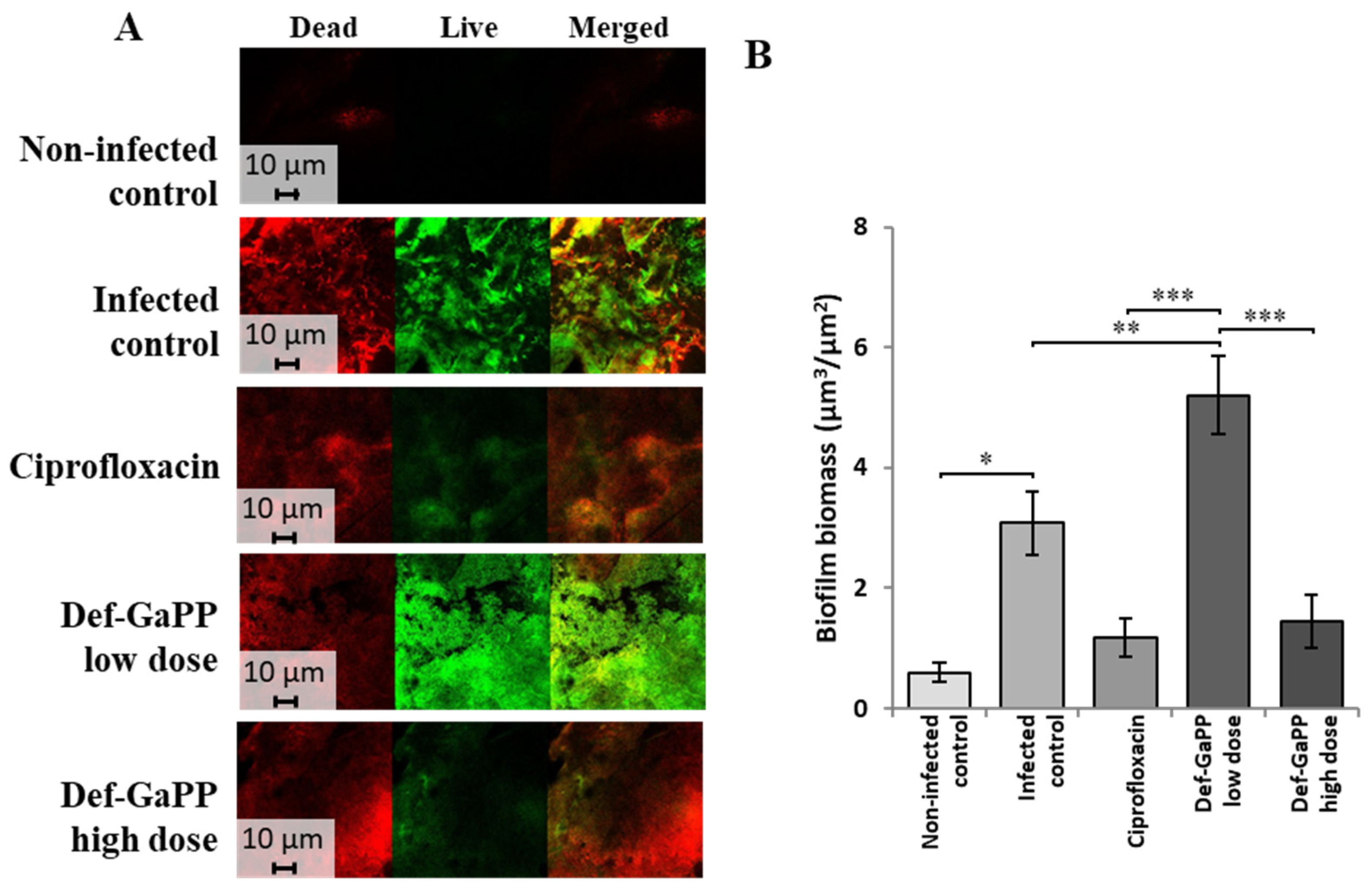 Materials 17 00793 g005