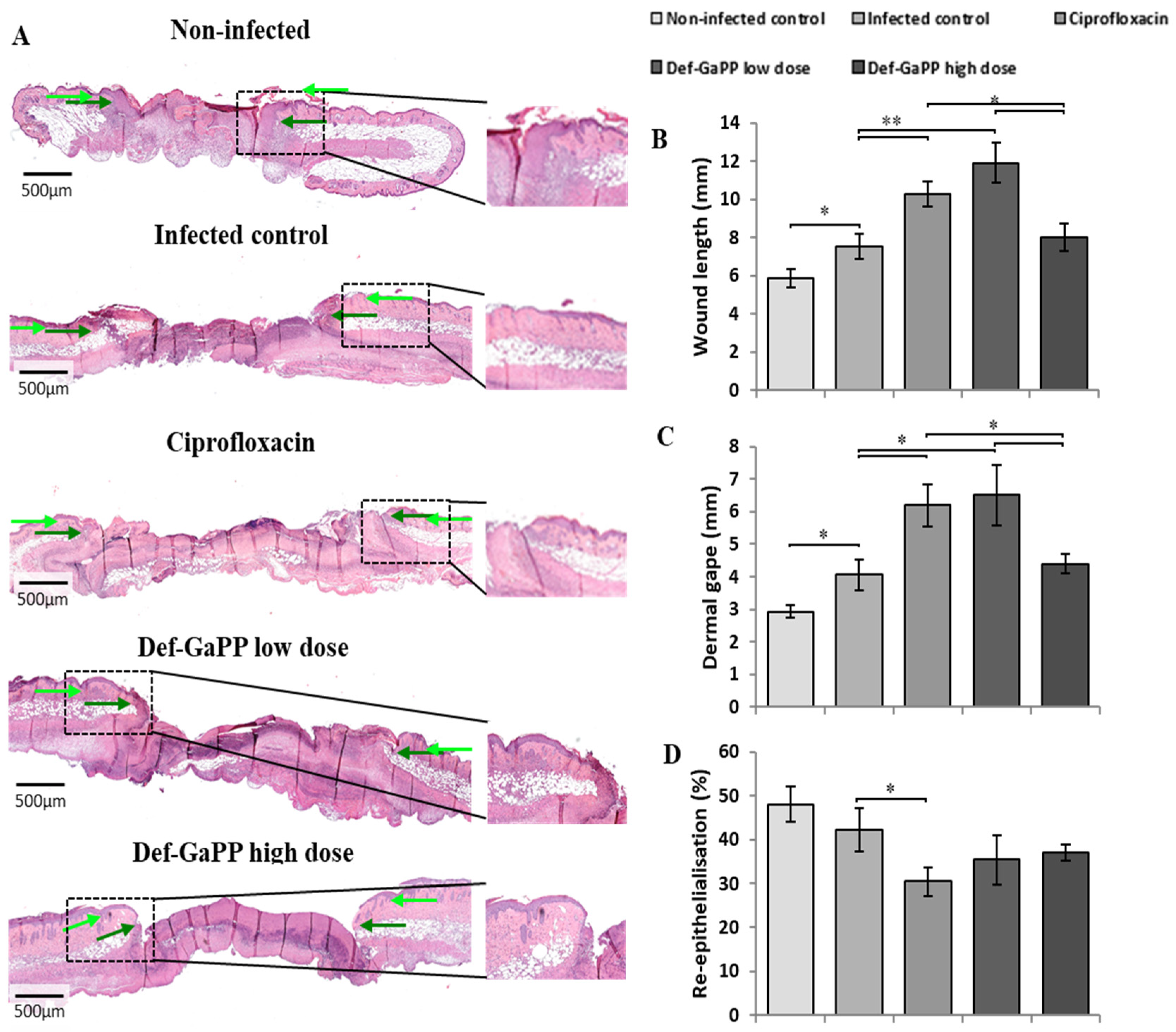 Materials 17 00793 g007
