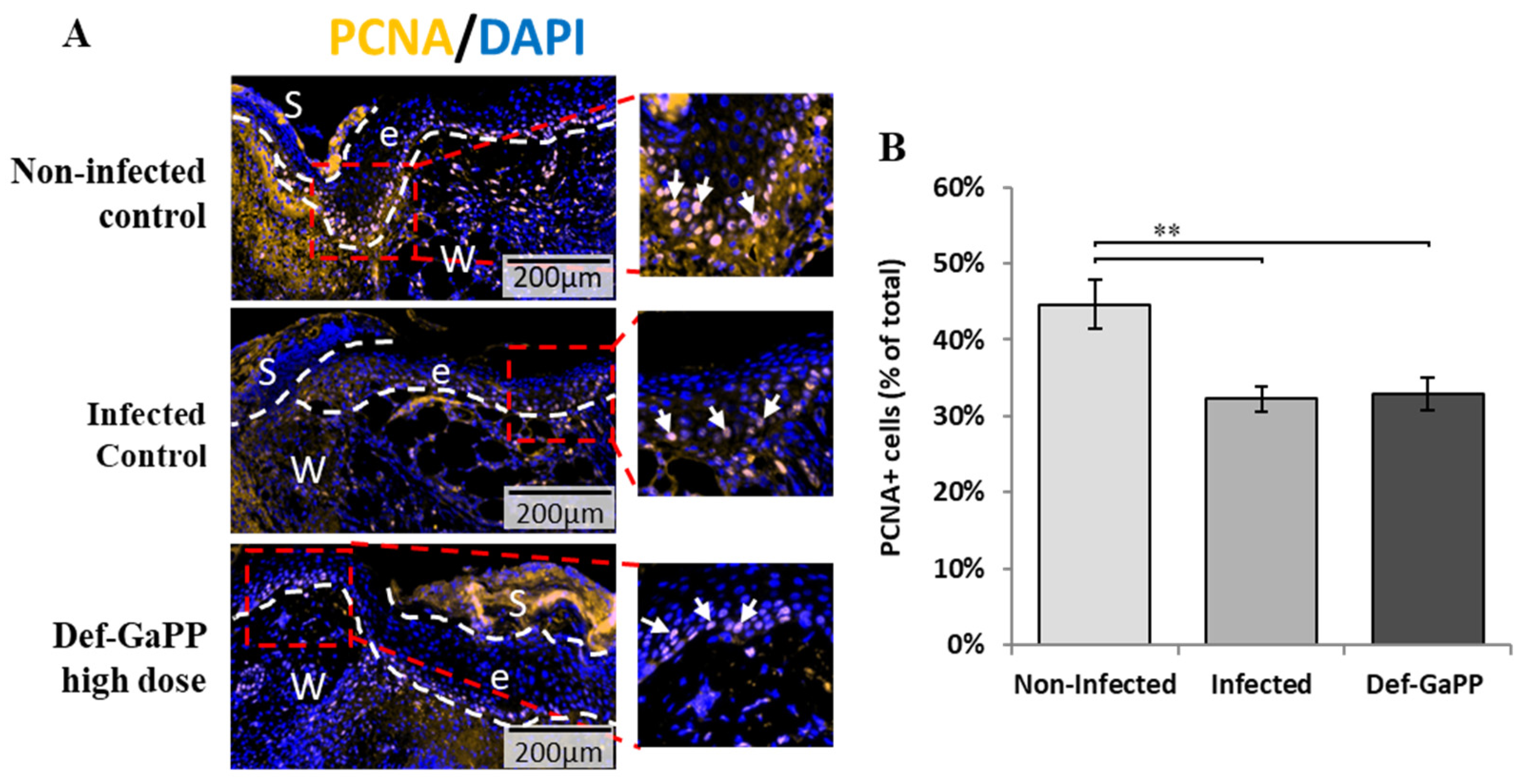Materials 17 00793 g008