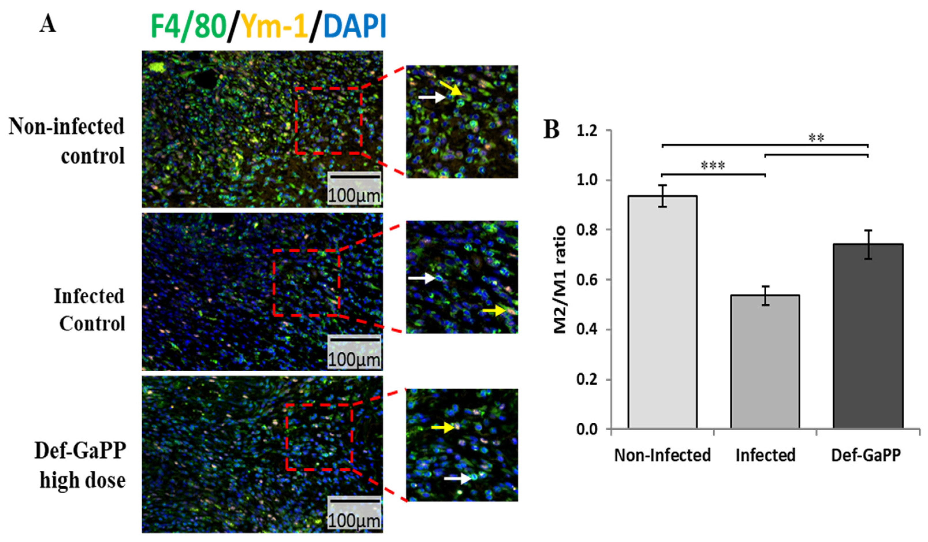 Materials 17 00793 g010