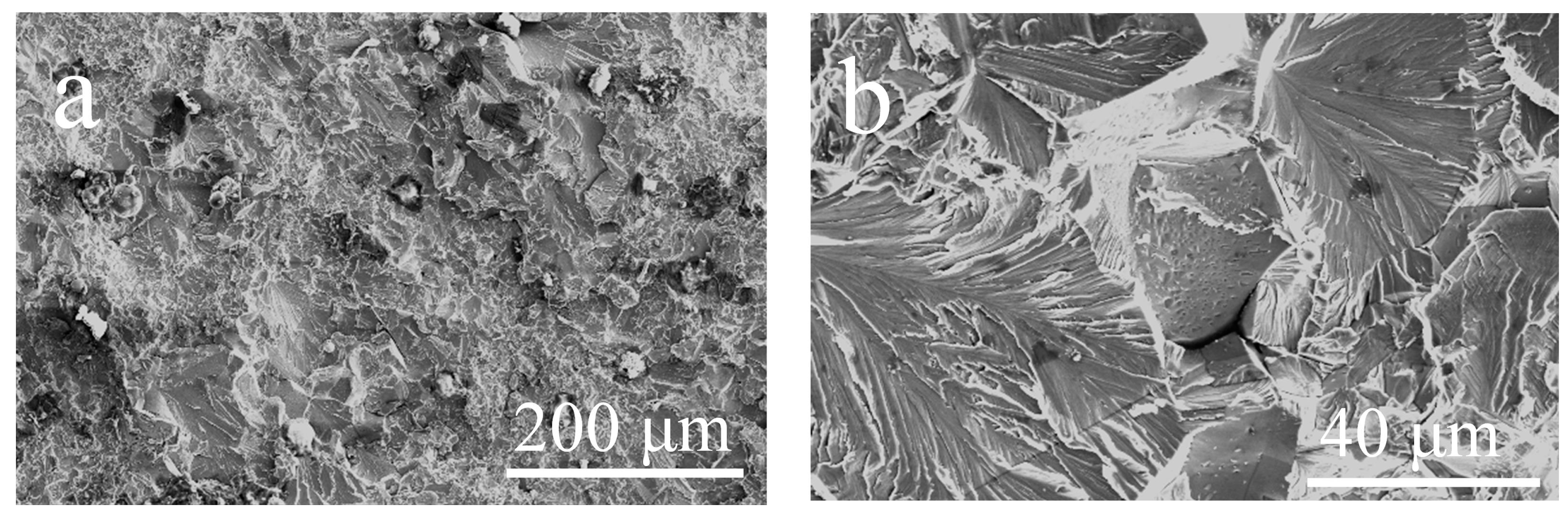 Materials 17 00794 g015