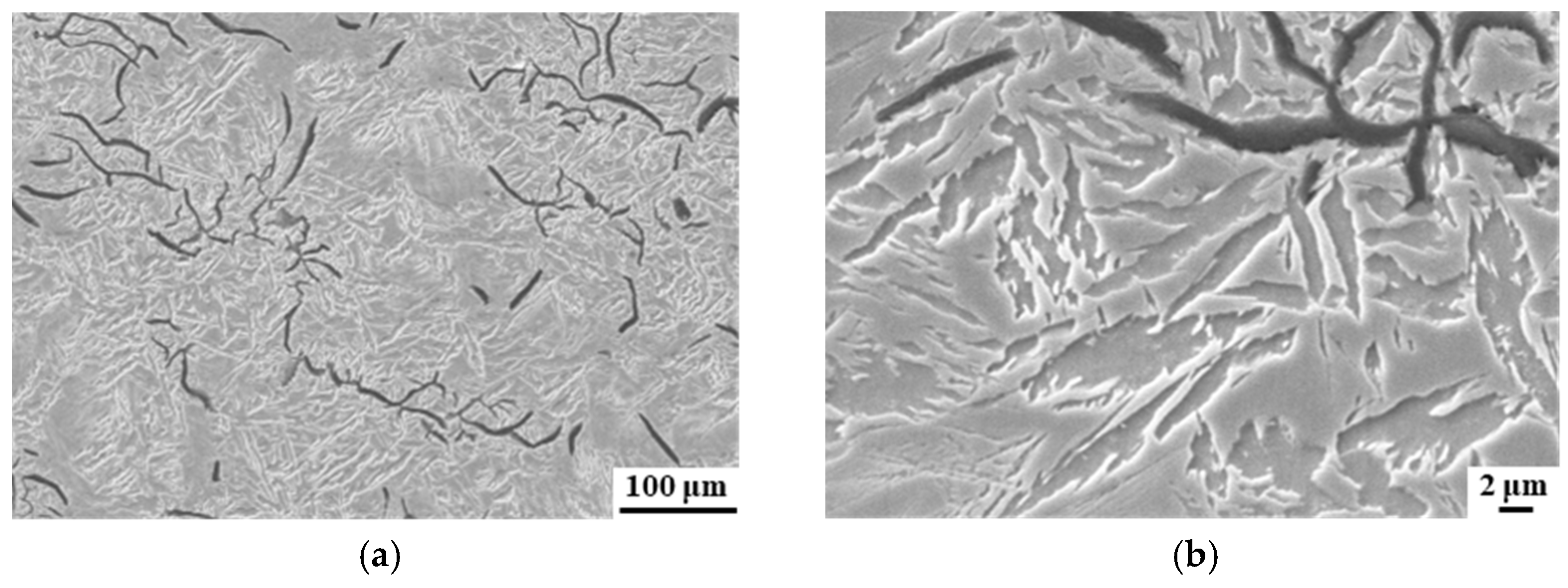 Materials 17 00802 g006