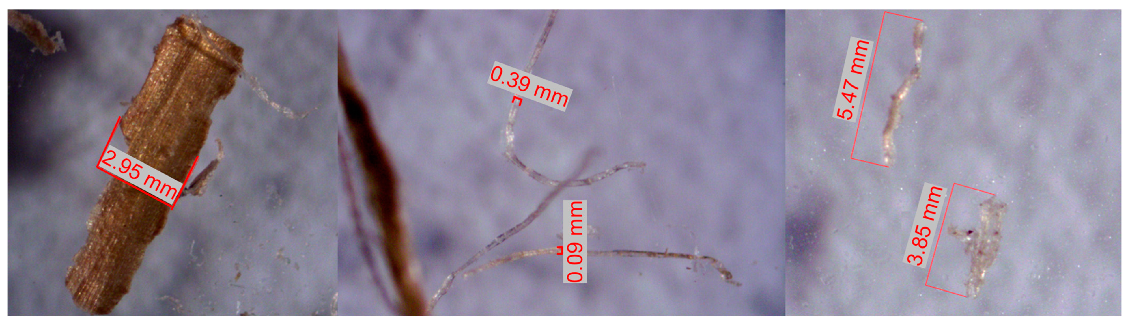 Materials 17 00817 g019