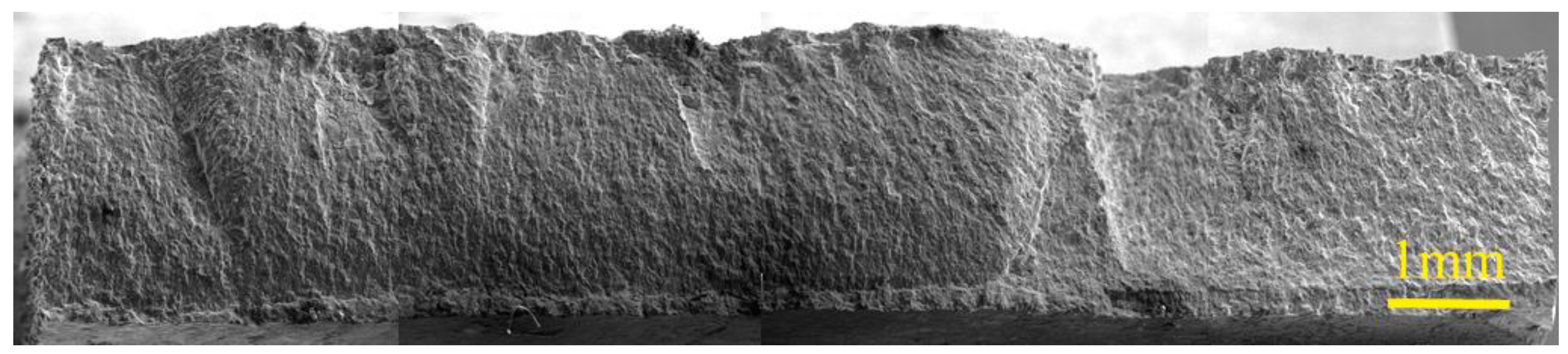 Materials 17 00835 g004