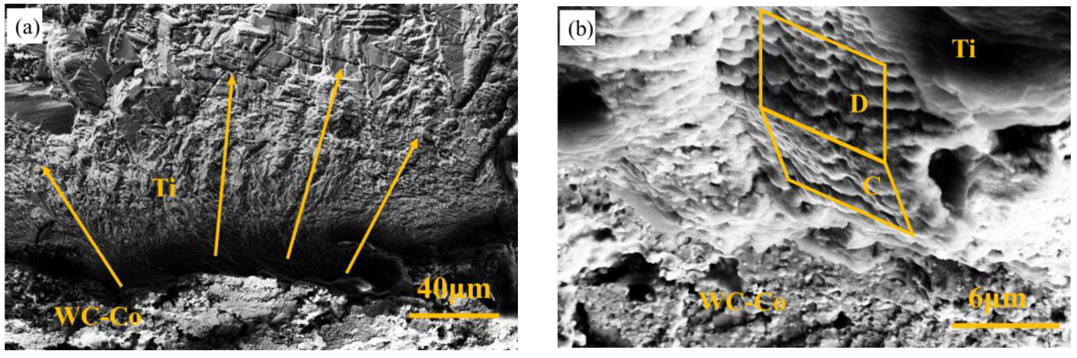 Materials 17 00835 g005