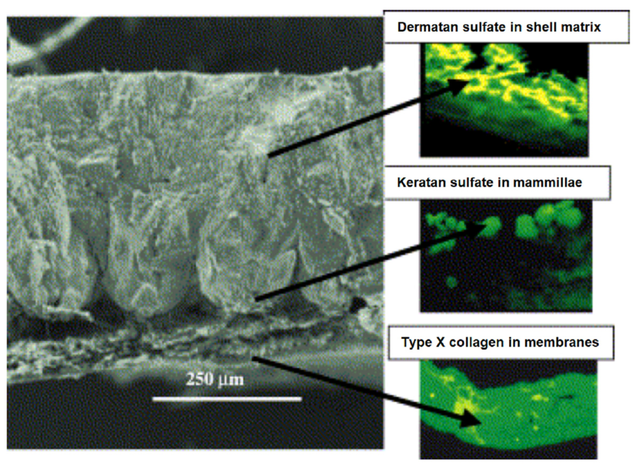 Materials 17 00843 g001