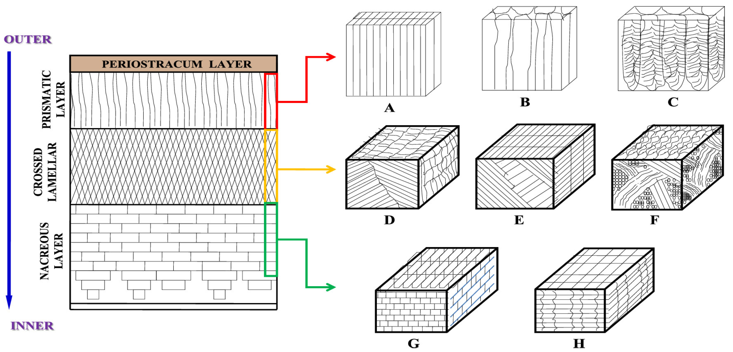 Materials 17 00843 g003