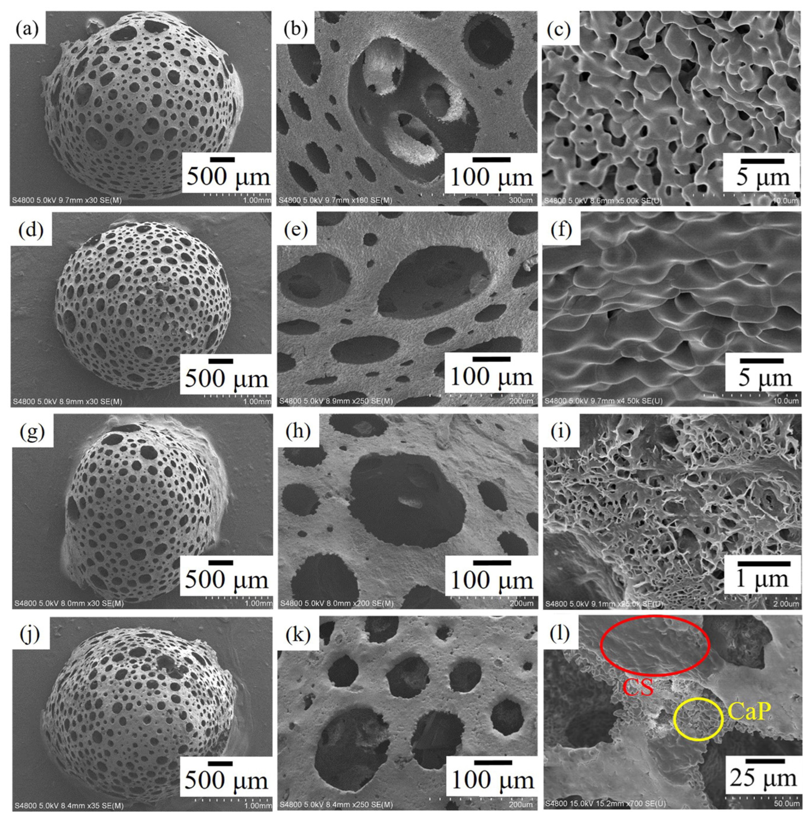 Materials 17 00843 g005