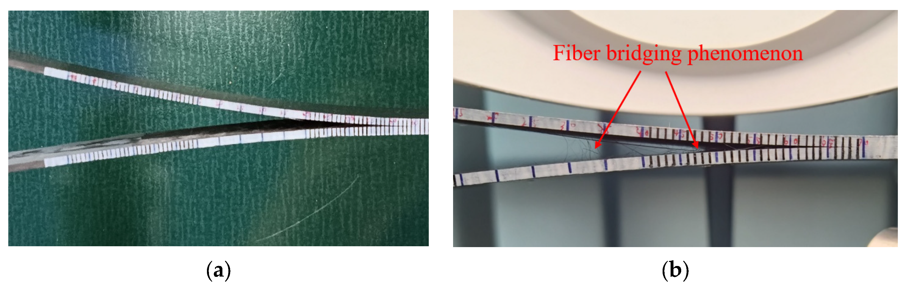 Materials 17 00846 g008