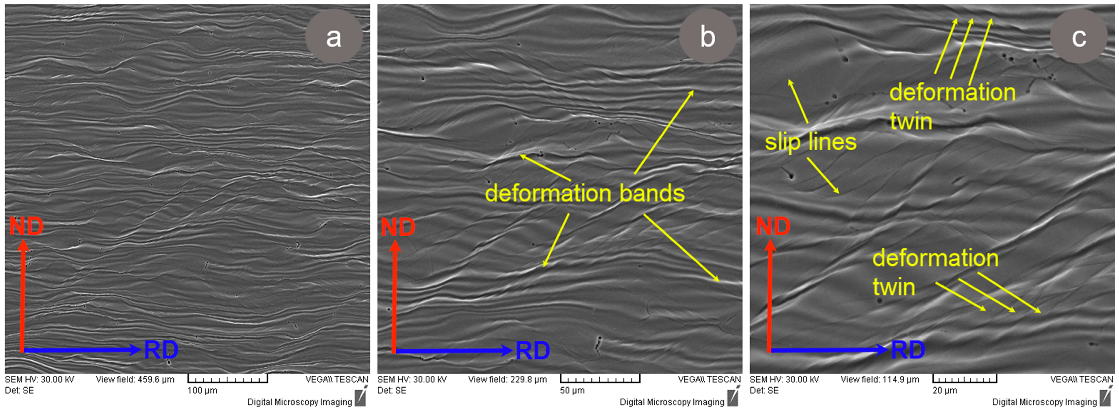 Materials 17 00864 g006