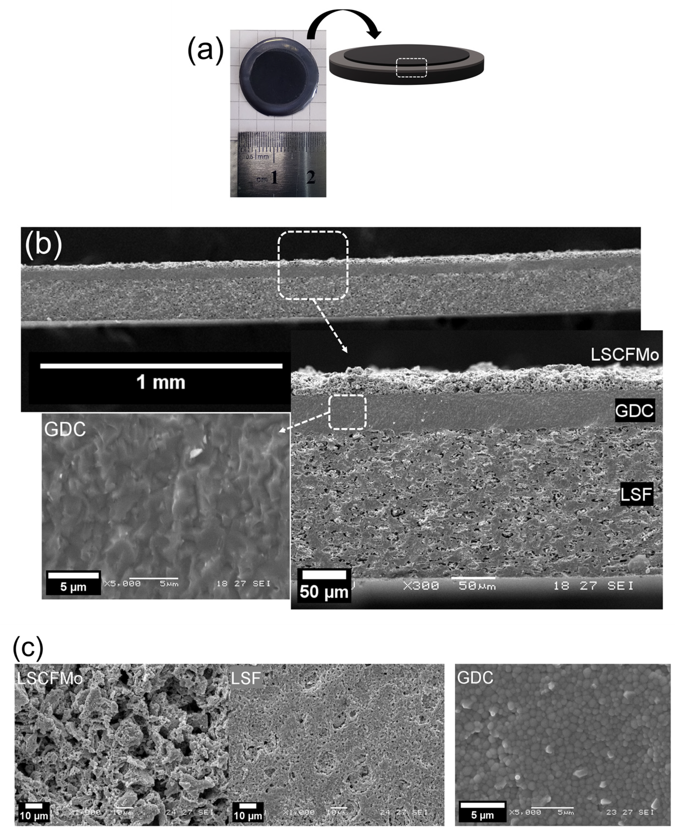 Materials 17 00869 g003