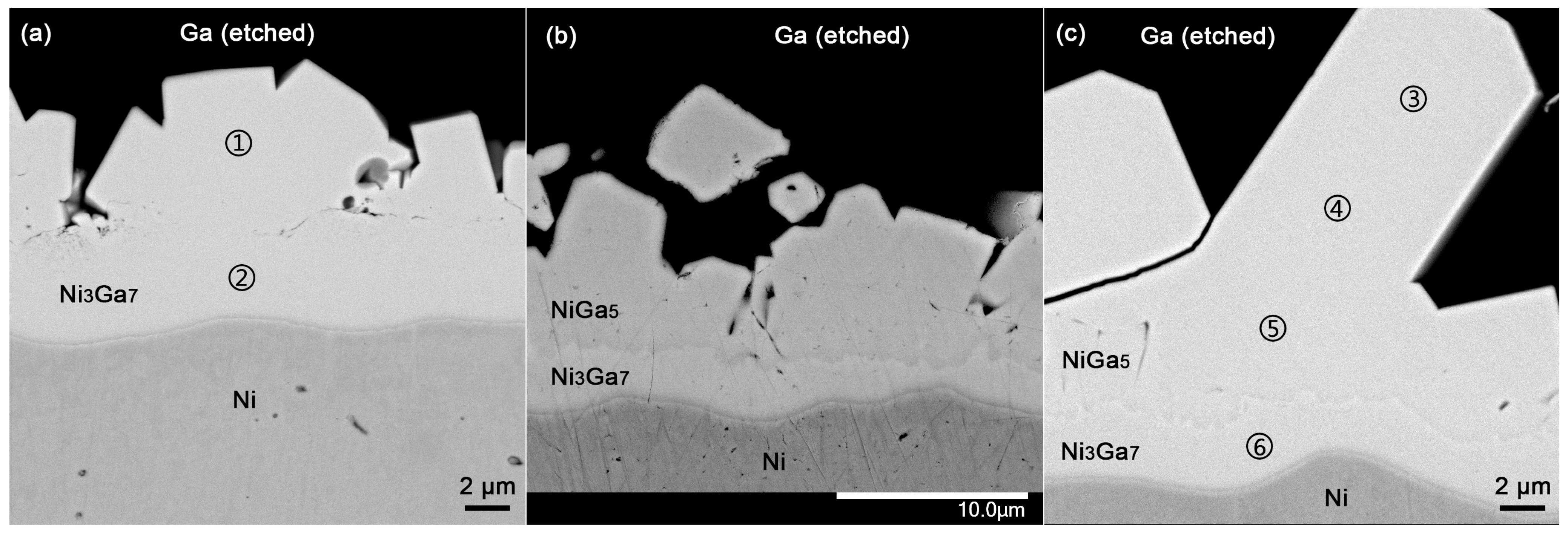 Materials 17 00883 g003
