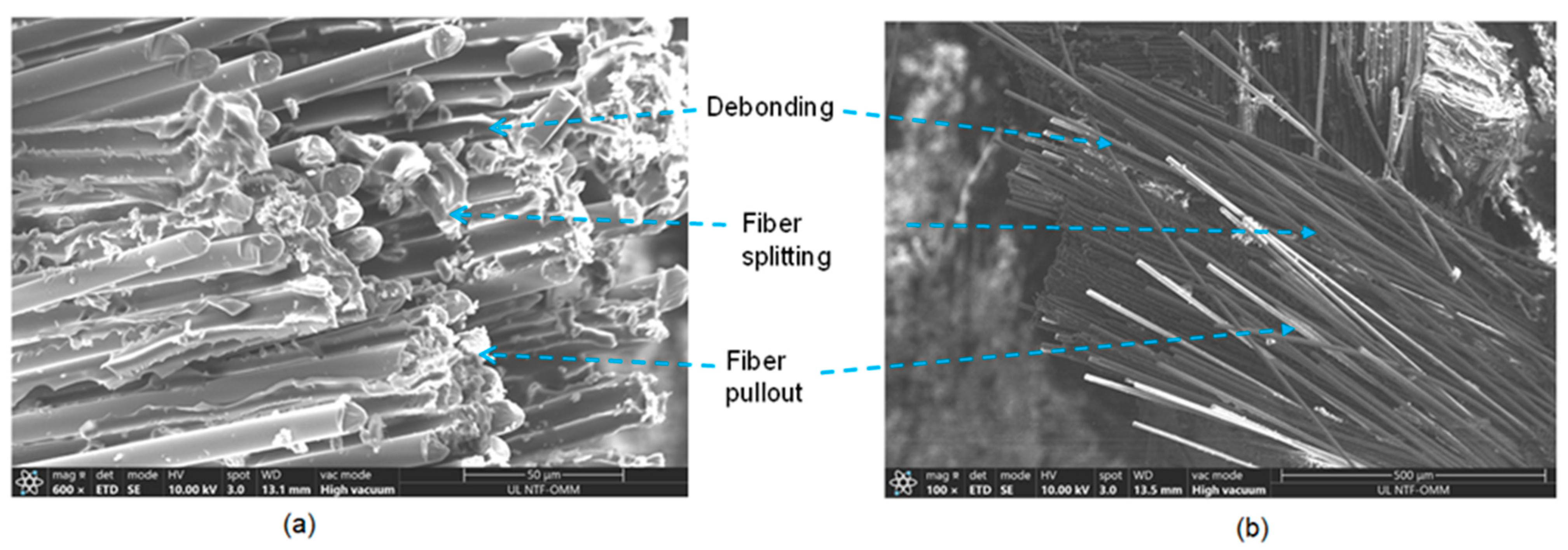 Materials 17 00887 g008