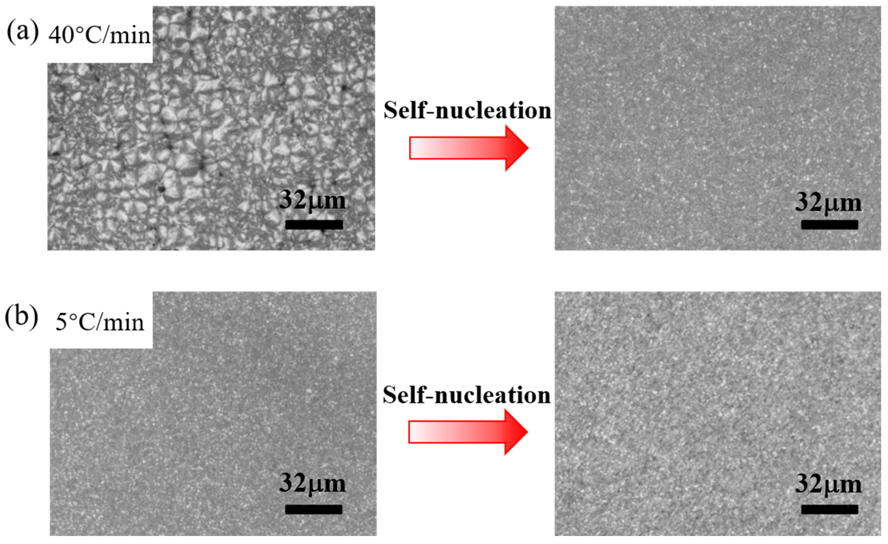 Materials 17 00890 g008