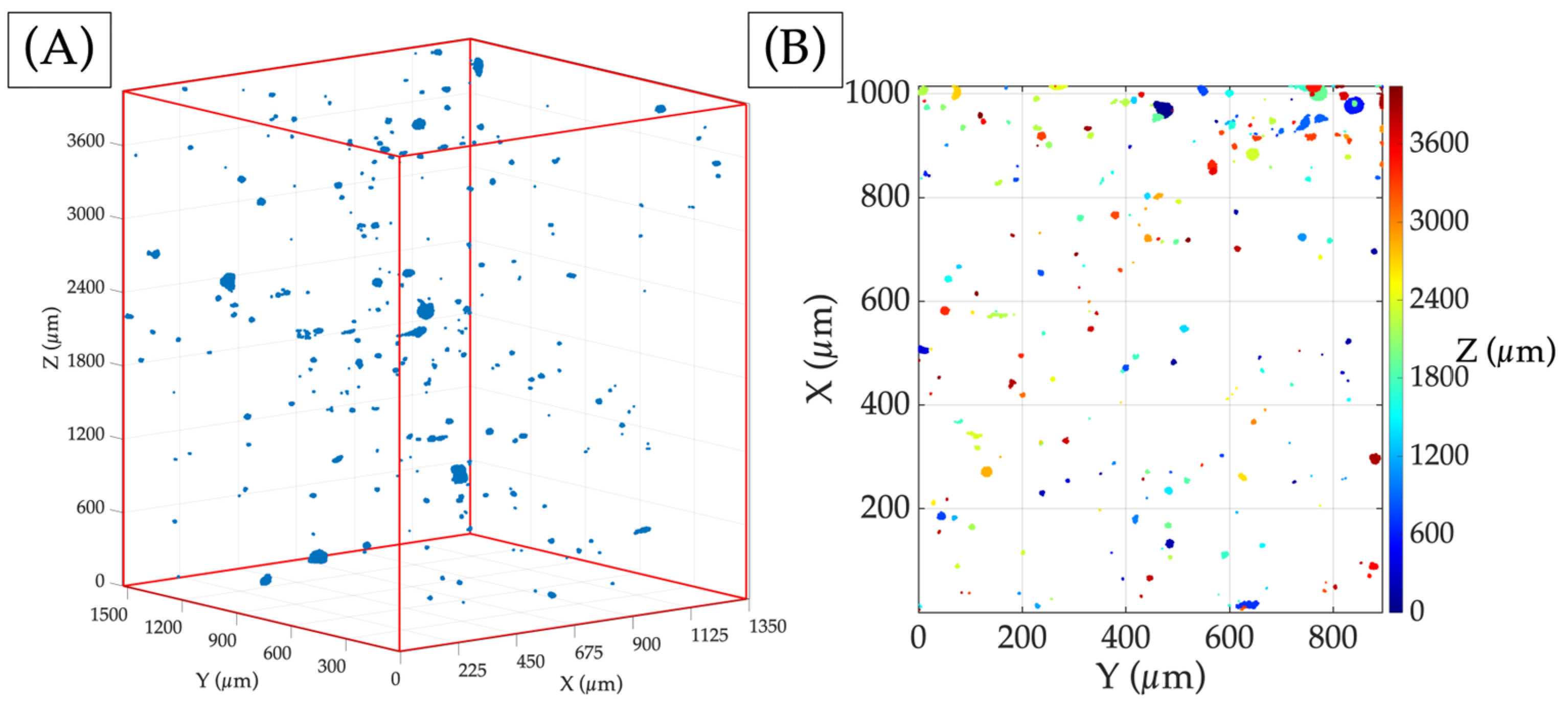 Materials 17 00891 g005