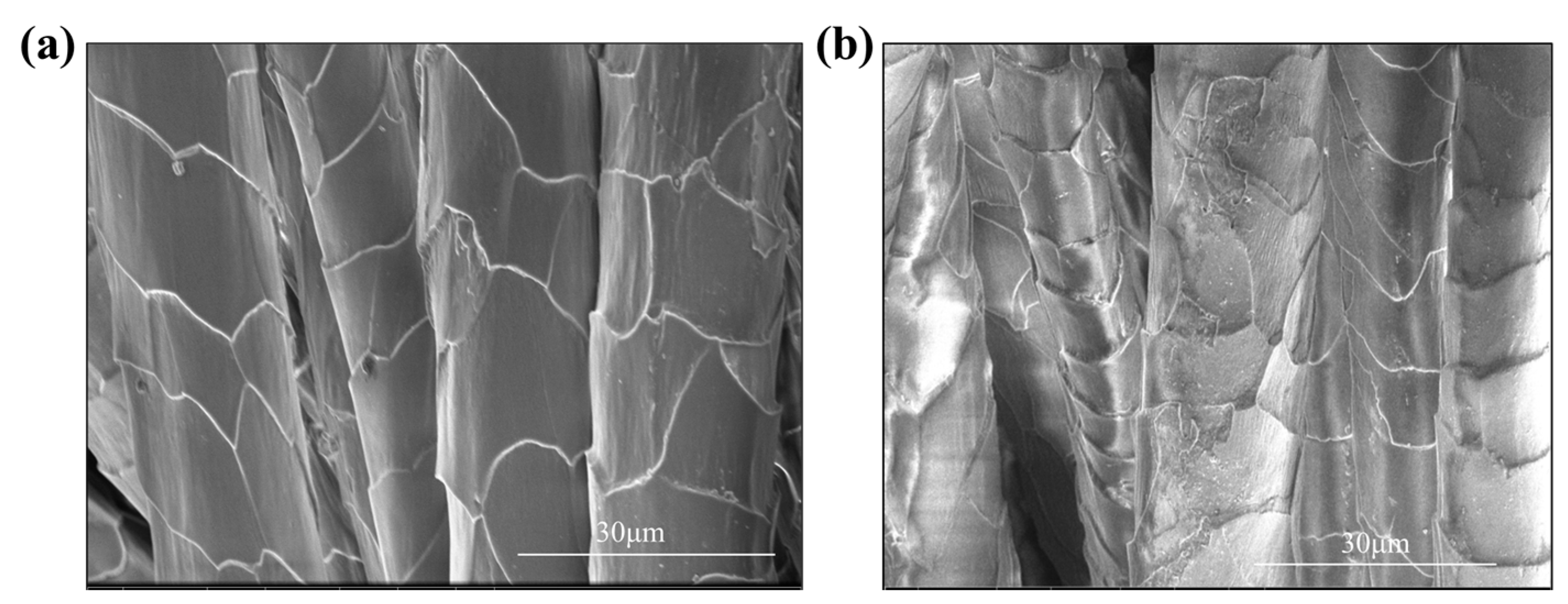 Materials 17 00893 g002