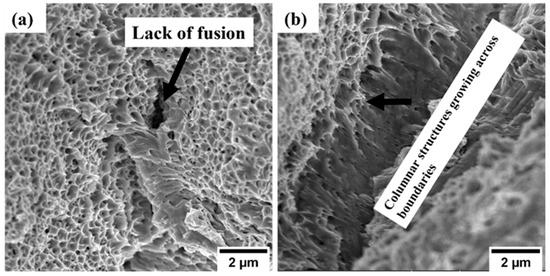 White Investigation of Microstructures and Tensile Properties of