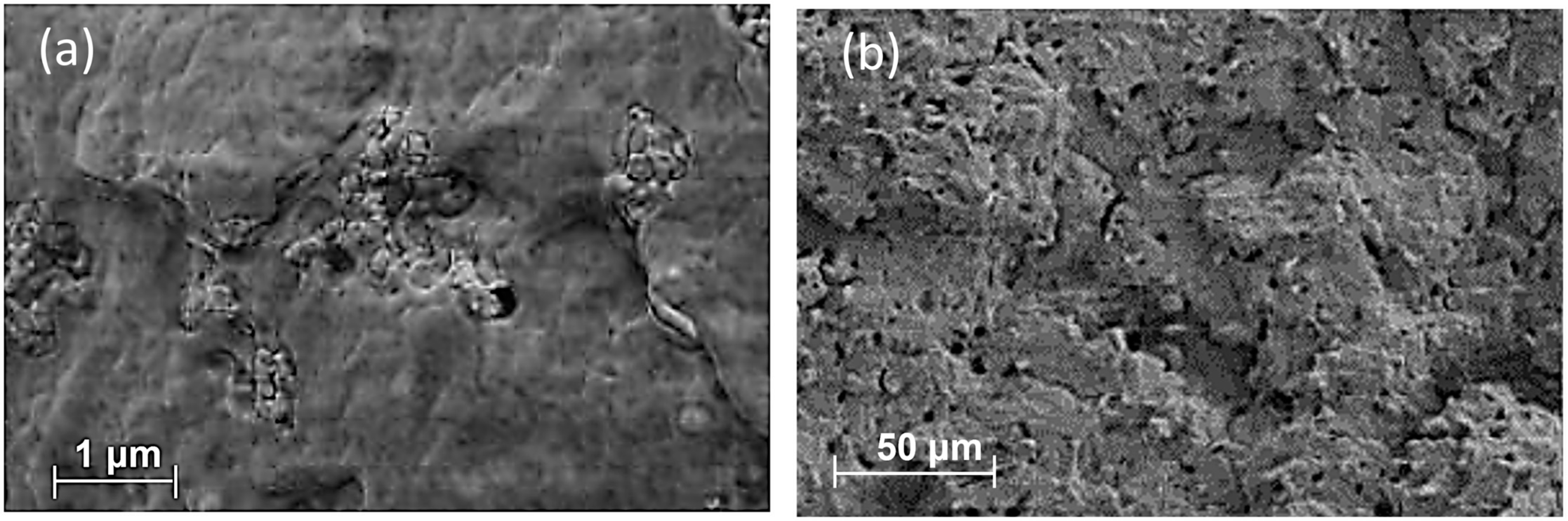 Materials 17 00916 g005