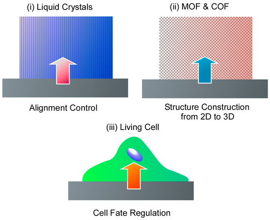 2D Materials Nanoarchitectonics for 3D Structures/Functions