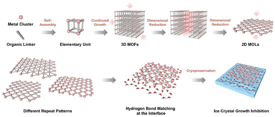 2D Materials Nanoarchitectonics for 3D Structures/Functions