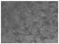 Materials 17 00937 i003