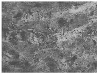 Materials 17 00937 i007