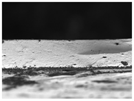 Materials 17 00937 i008