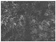 Materials 17 00937 i015