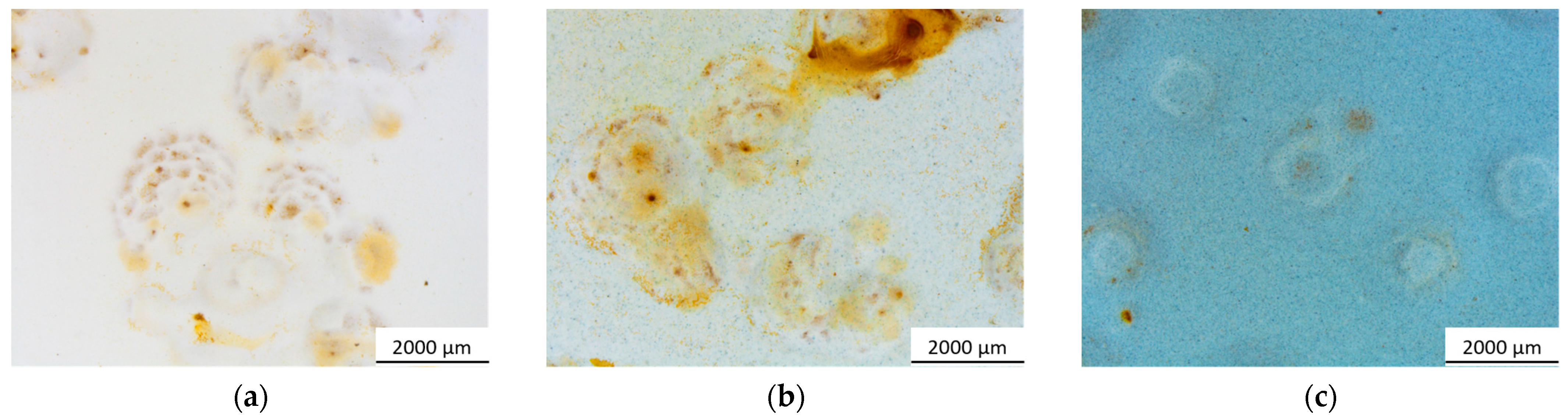 Materials 17 00941 g007