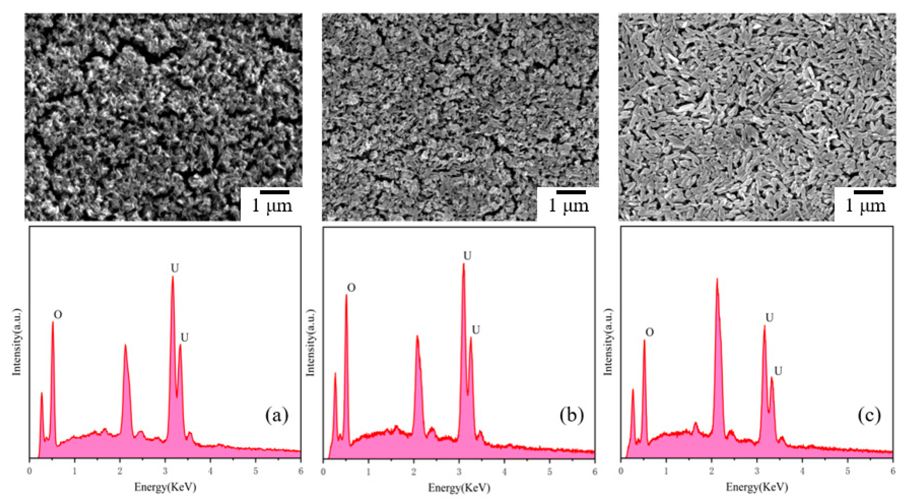 Materials 17 00945 g005