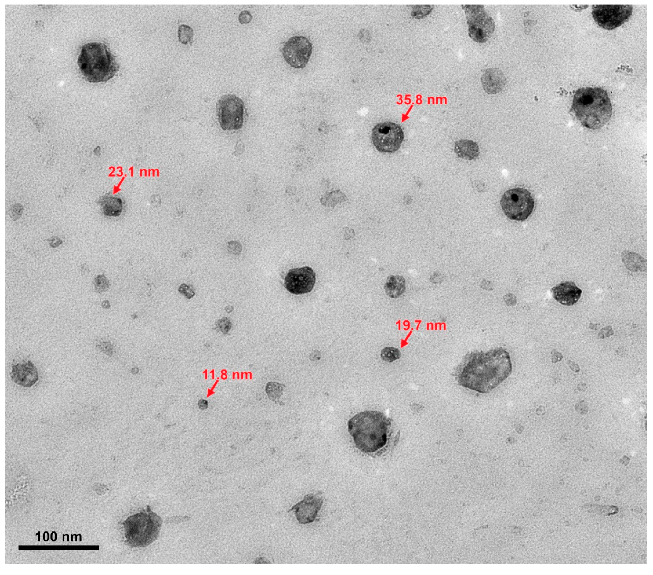 Materials 17 00955 g015